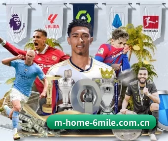 m-home-6mile.com.cn APP